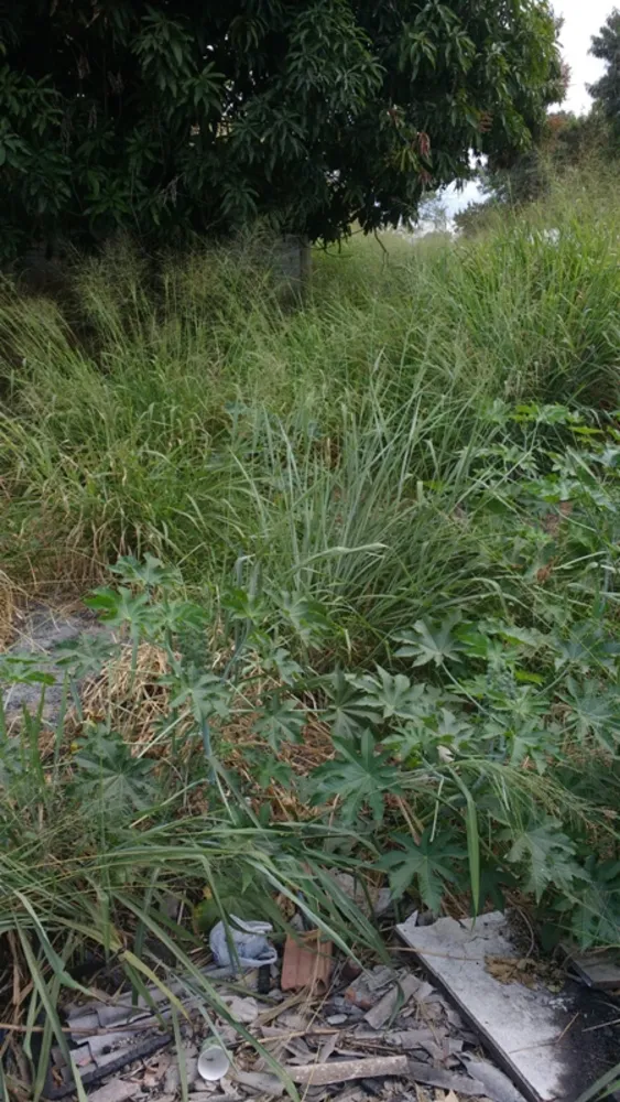 Terreno, 320 m² - Foto 3