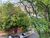 Apartamento, 2 quartos, 80 m² - Foto 1