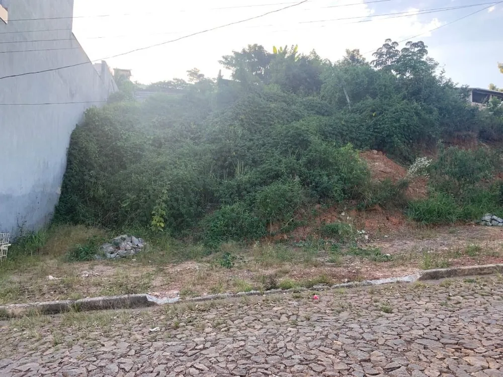 Terreno, 360 m² - Foto 11