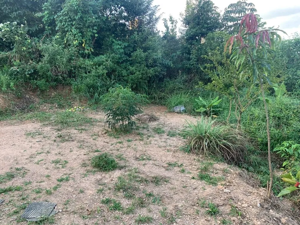 Terreno, 360 m² - Foto 6