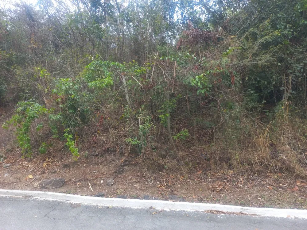 Terreno, 2800 m² - Foto 5