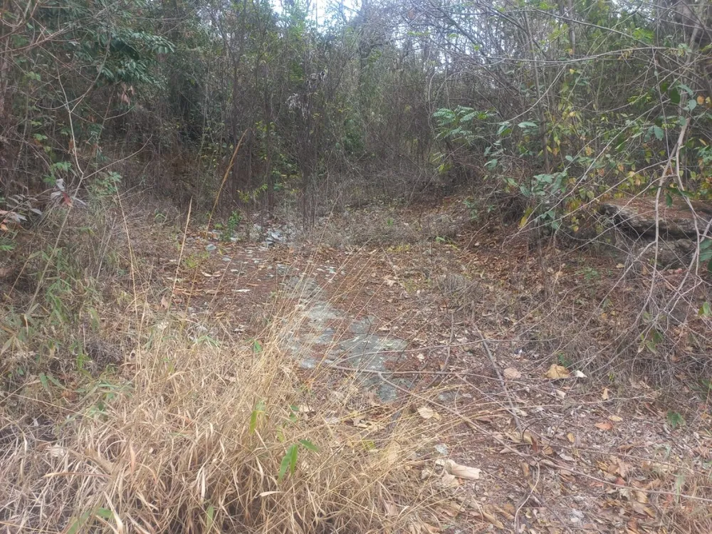 Terreno, 2800 m² - Foto 4