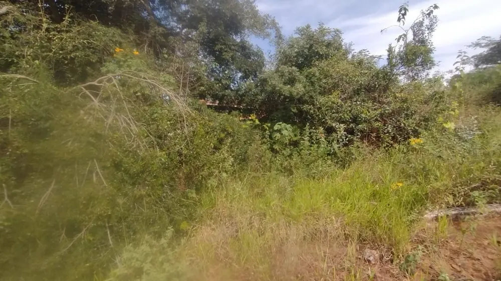 Terreno, 394 m² - Foto 4