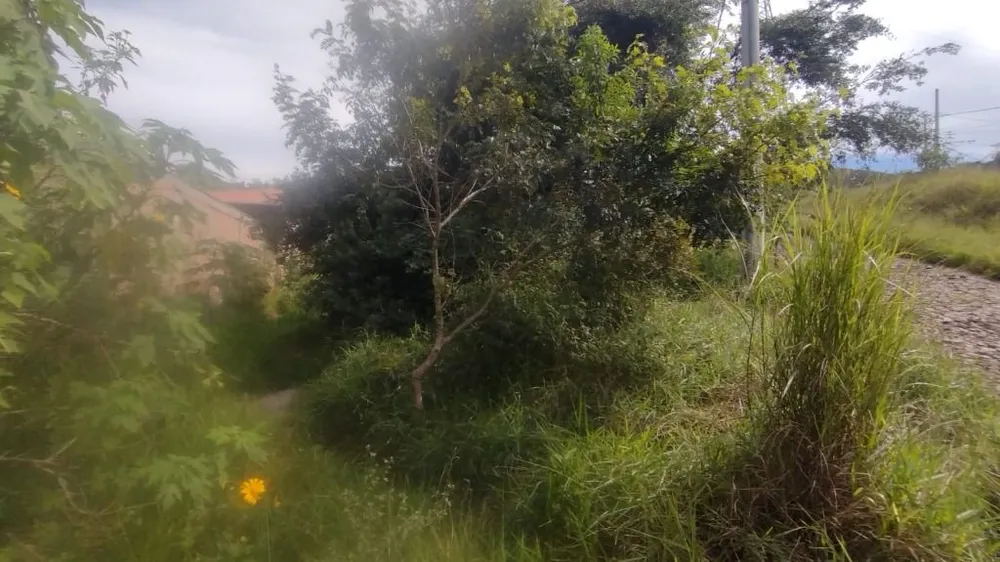 Terreno, 394 m² - Foto 6