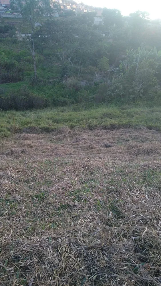 Terreno, 20 m² - Foto 2