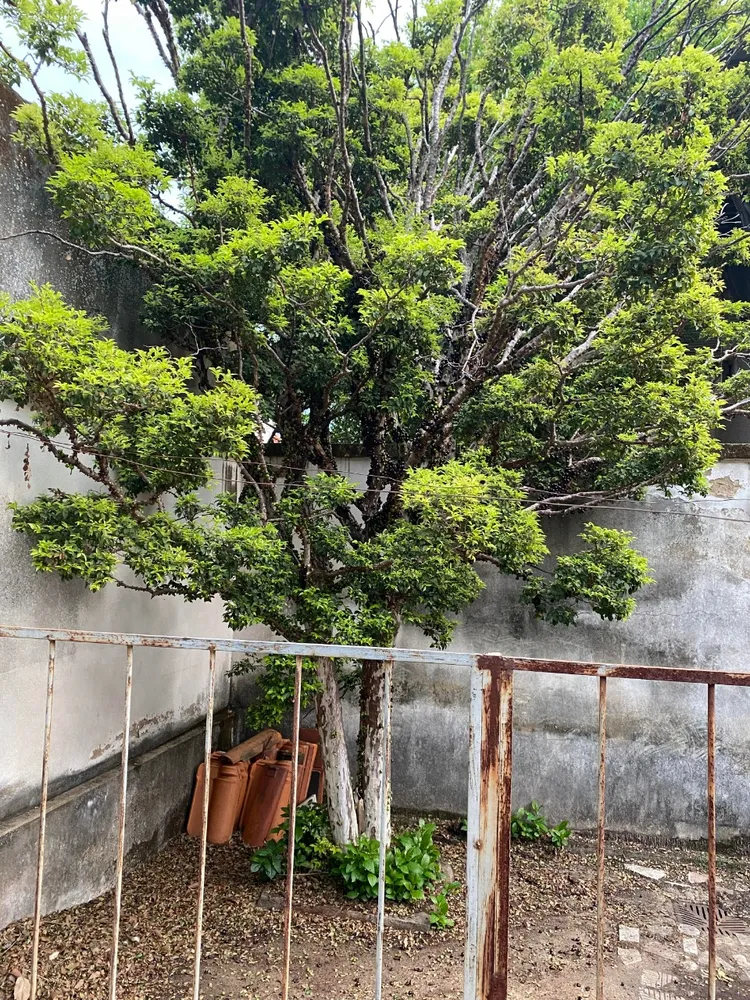 Casa, 3 quartos, 380 m² - Foto 8