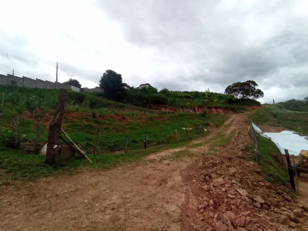 Terreno, 24000 m² - Foto 7