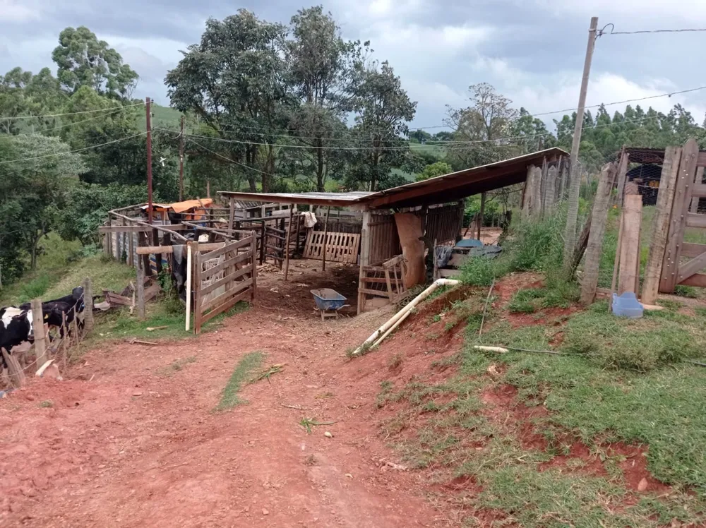 Terreno, 24000 m² - Foto 5