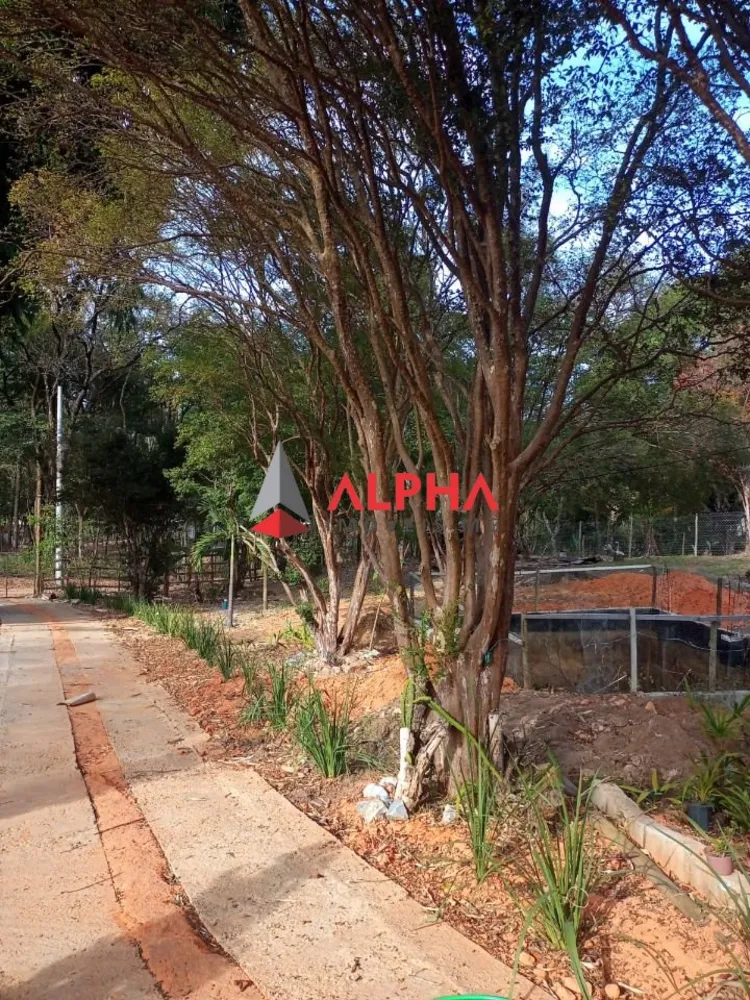 Terreno, 3530 m² - Foto 9