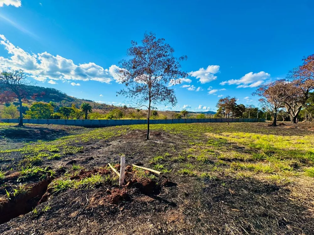 Terreno à venda, 1000m² - Foto 2