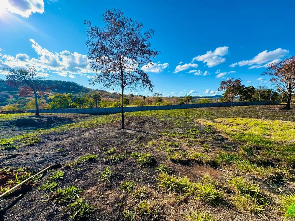 Terreno à venda, 1000m² - Foto 3