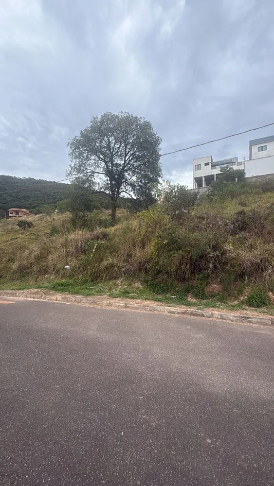 Terreno - Foto 3