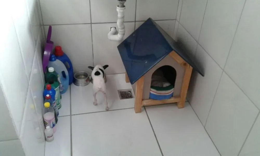 Apartamento, 2 quartos, 55 m² - Foto 8