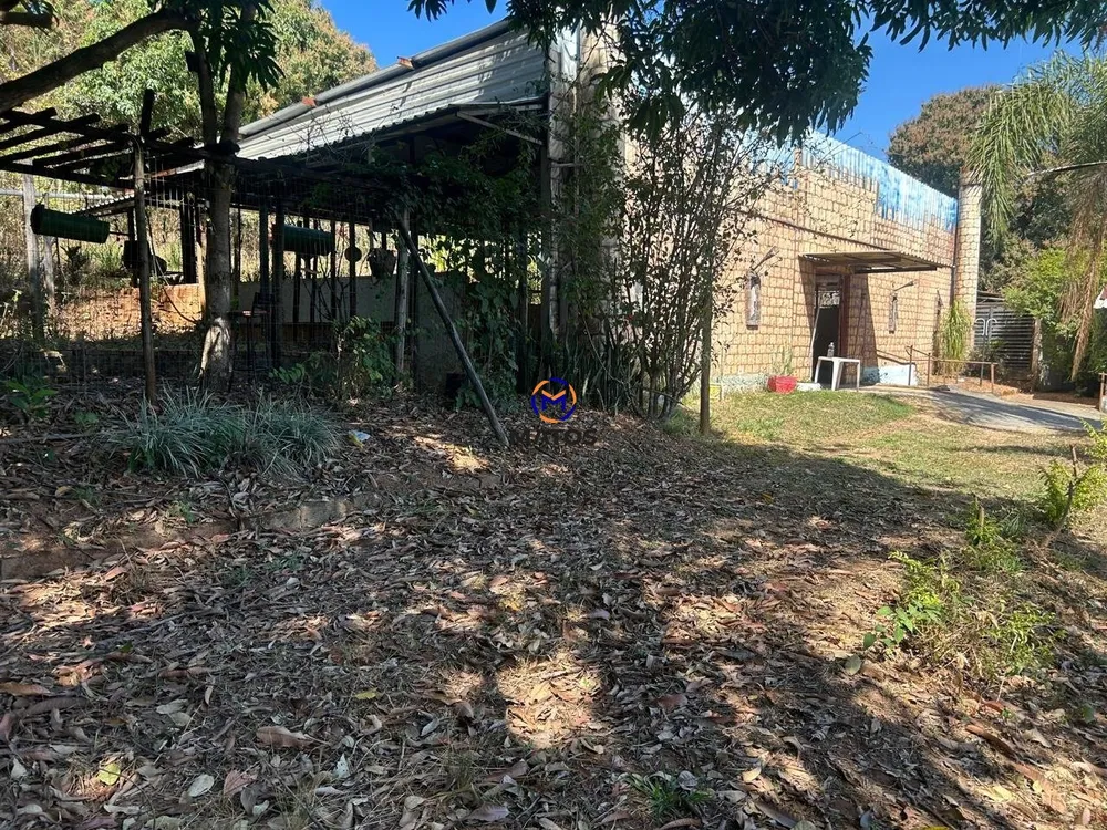 Terreno, 5000 m² - Foto 4