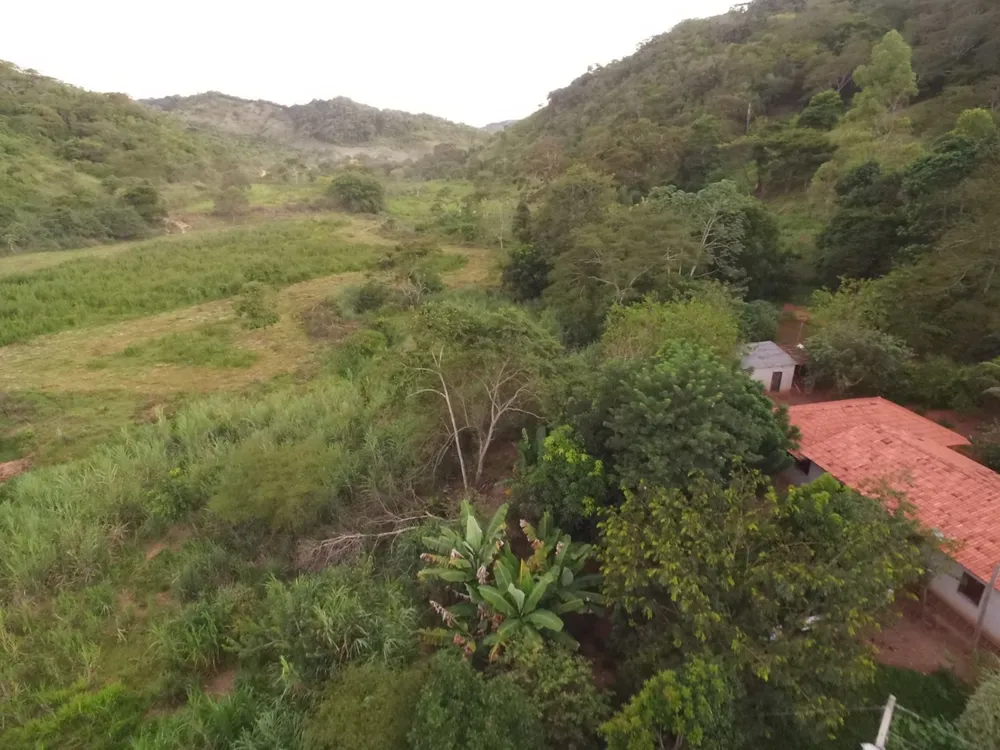 Terreno, 30 hectares - Foto 4