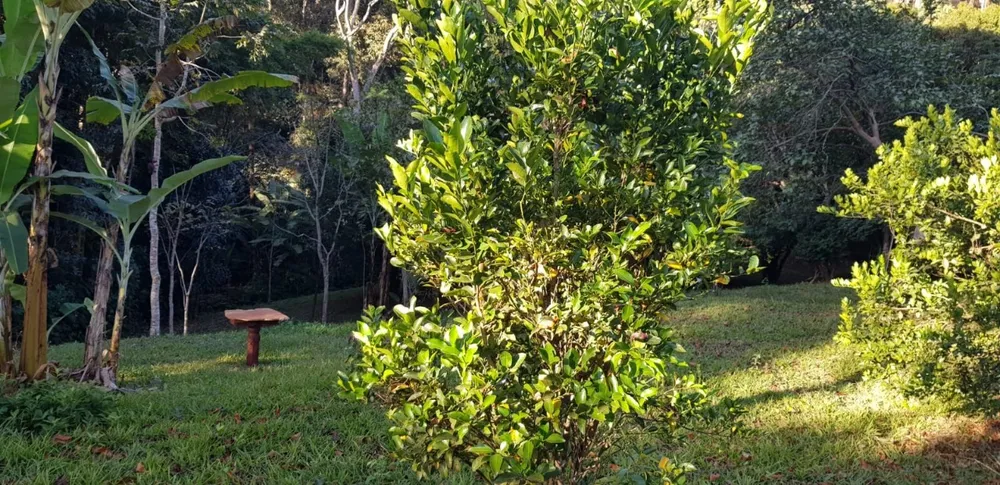 Fazenda, 3 quartos - Foto 1