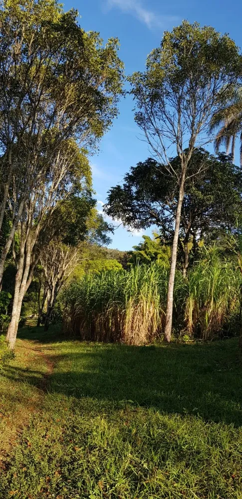 Fazenda, 3 quartos - Foto 7
