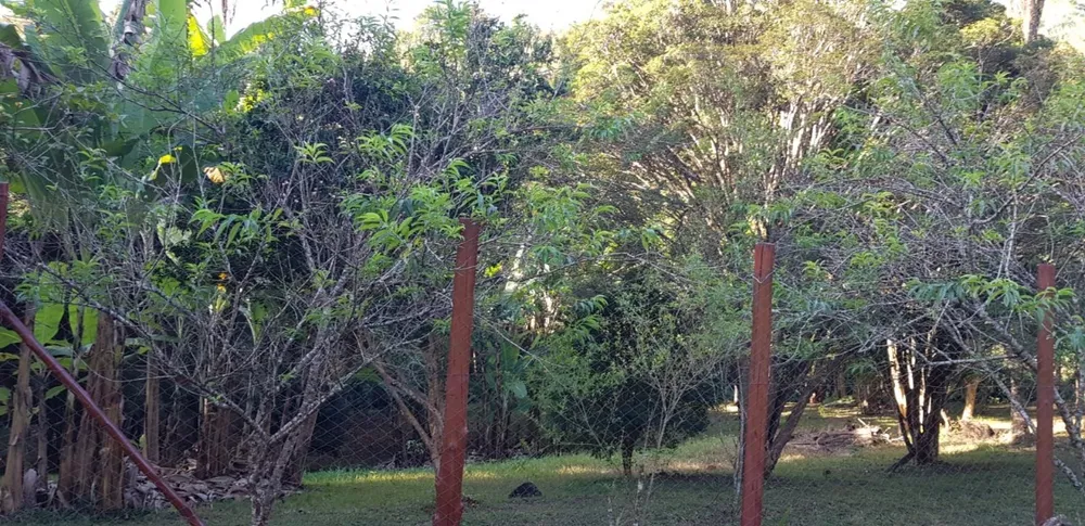 Fazenda, 3 quartos - Foto 13