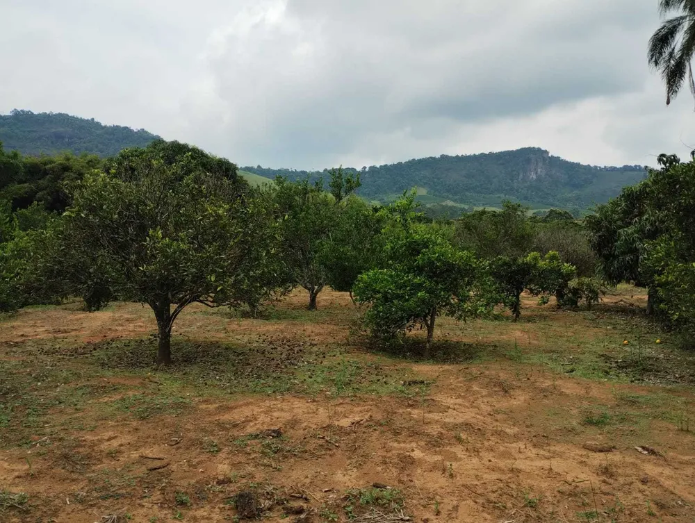 Sítio, 3 quartos, 41 hectares - Foto 12