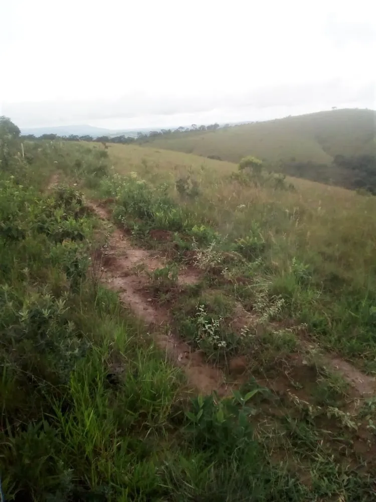 Fazenda, 369 hectares - Foto 2
