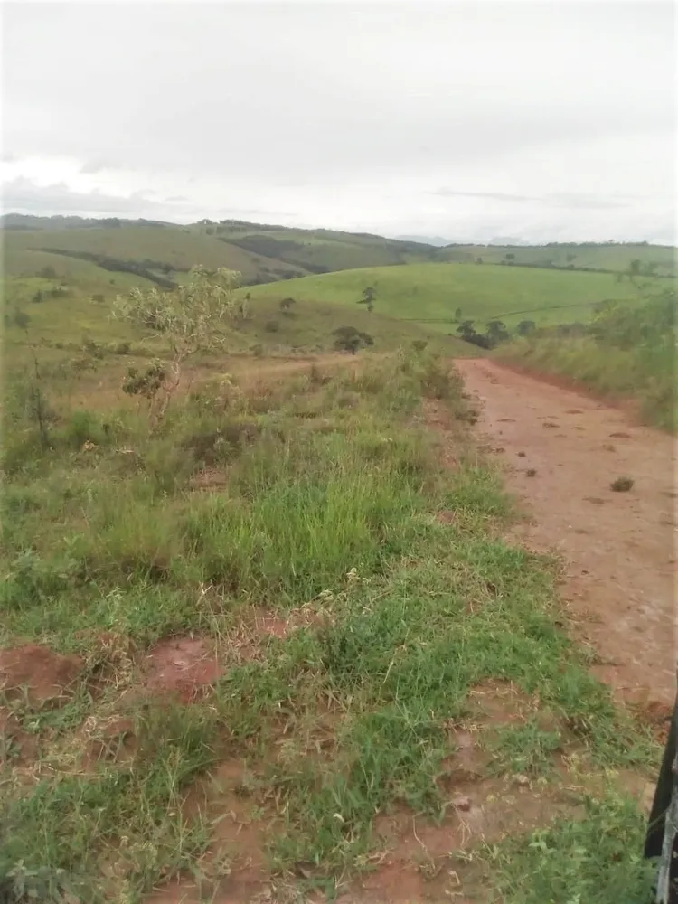 Fazenda, 369 hectares - Foto 3