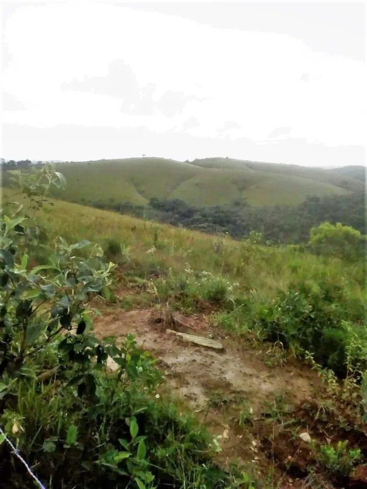 Fazenda, 369 hectares - Foto 4