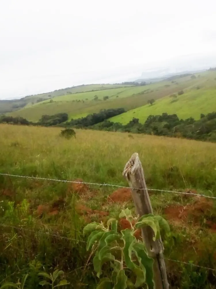 Fazenda, 369 hectares - Foto 1