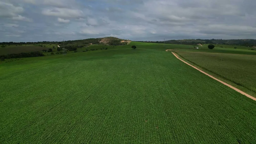 Fazenda, 170 hectares - Foto 7