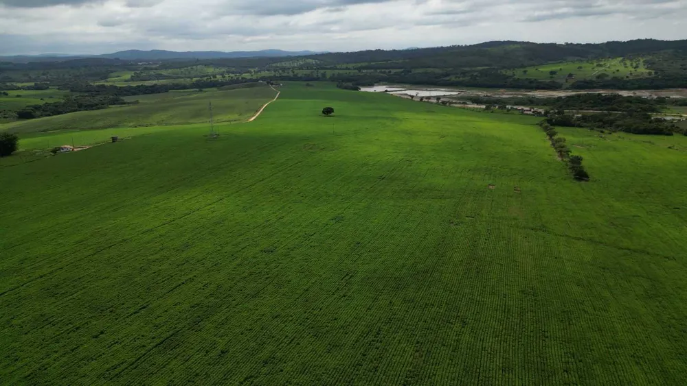 Fazenda, 170 hectares - Foto 9