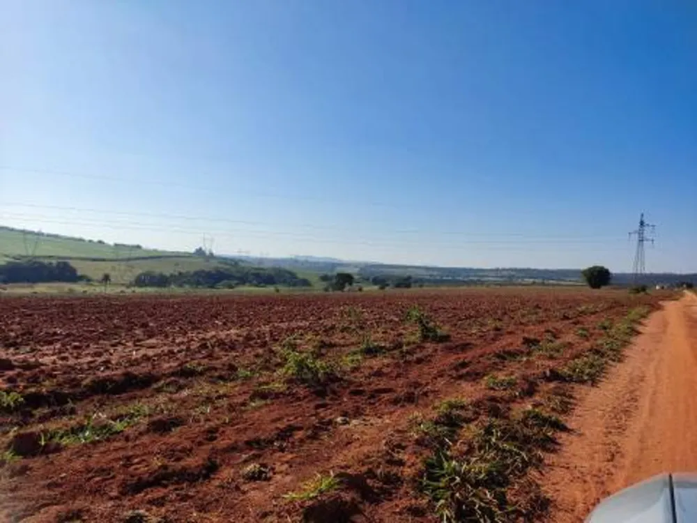 Fazenda, 170 hectares - Foto 10