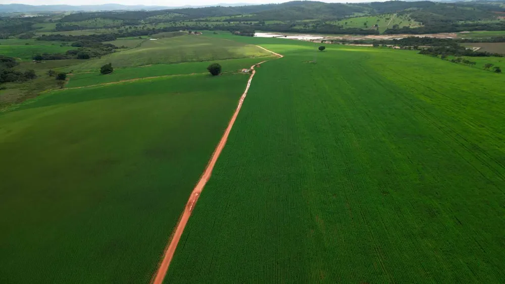 Fazenda, 170 hectares - Foto 6