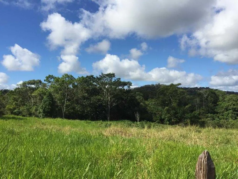 Fazenda, 5 quartos - Foto 6