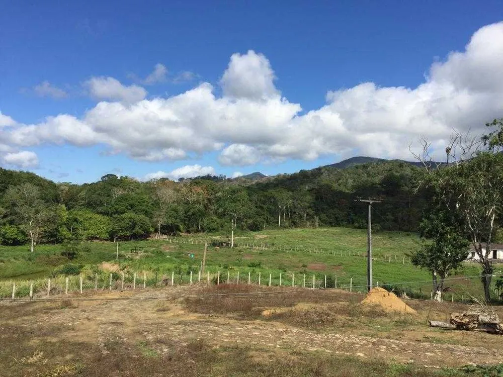 Fazenda, 5 quartos - Foto 8