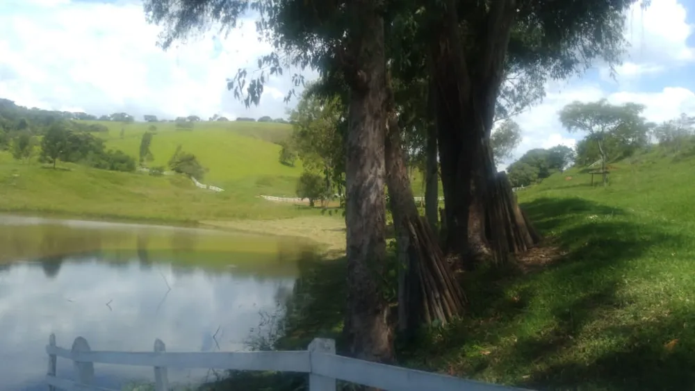 Fazenda, 53 hectares - Foto 9