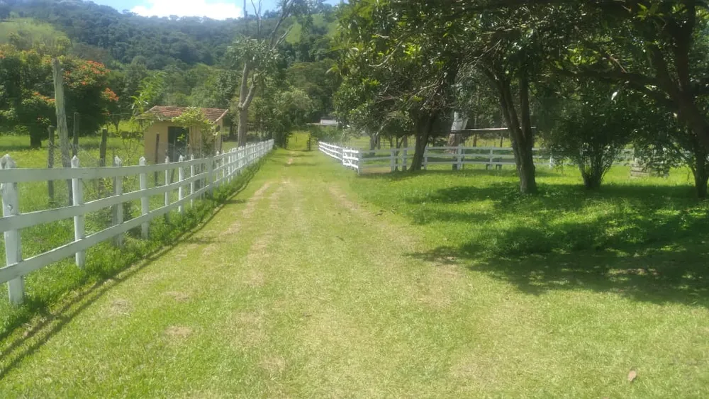 Fazenda, 53 hectares - Foto 2