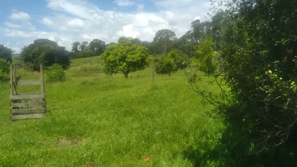 Fazenda, 53 hectares - Foto 20