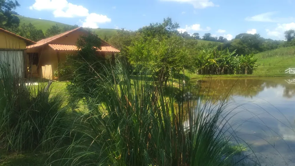 Fazenda, 53 hectares - Foto 6