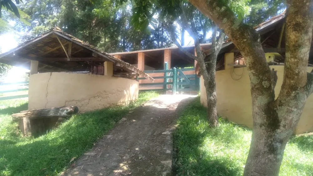 Fazenda, 53 hectares - Foto 14