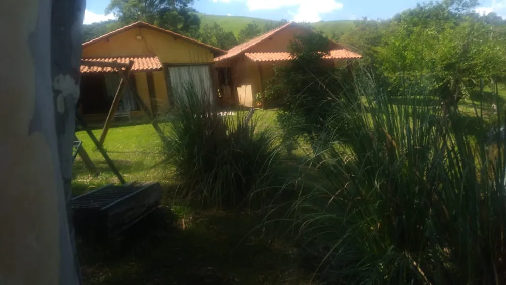 Fazenda, 53 hectares - Foto 4