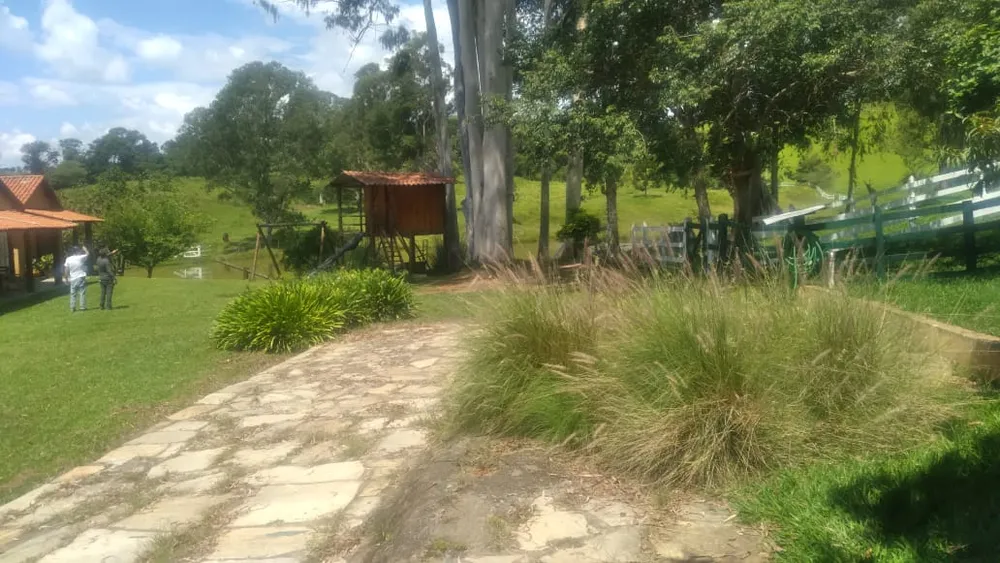 Fazenda, 53 hectares - Foto 13