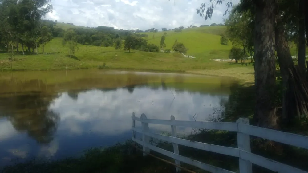 Fazenda, 53 hectares - Foto 10
