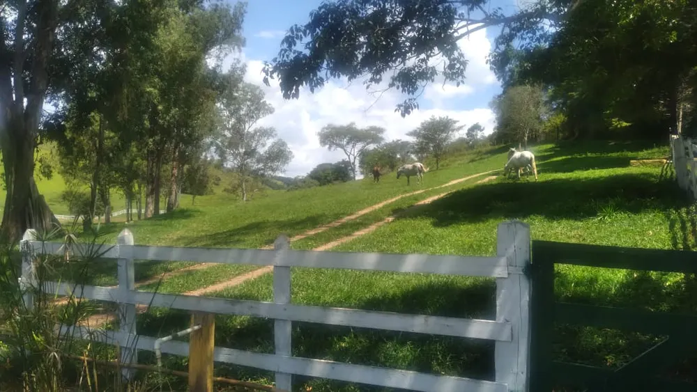 Fazenda, 53 hectares - Foto 12