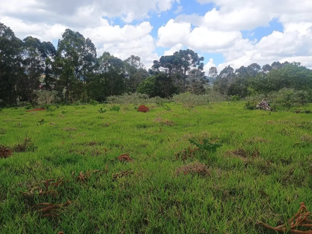 Fazenda, 1 quarto - Foto 9