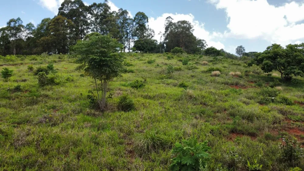 Fazenda, 1 quarto - Foto 24