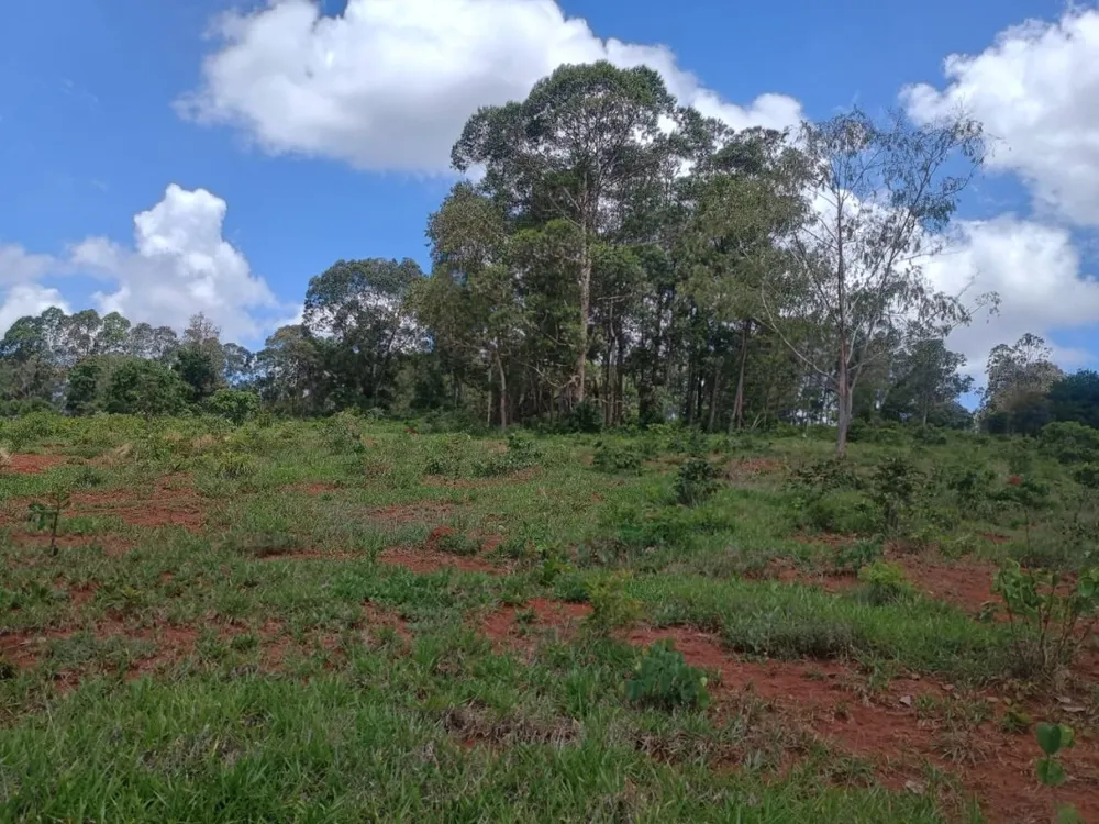 Fazenda, 1 quarto - Foto 12