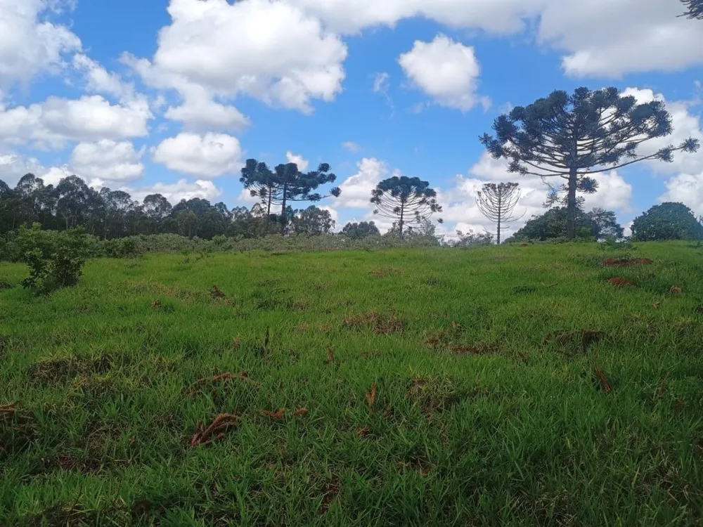 Fazenda, 1 quarto - Foto 10