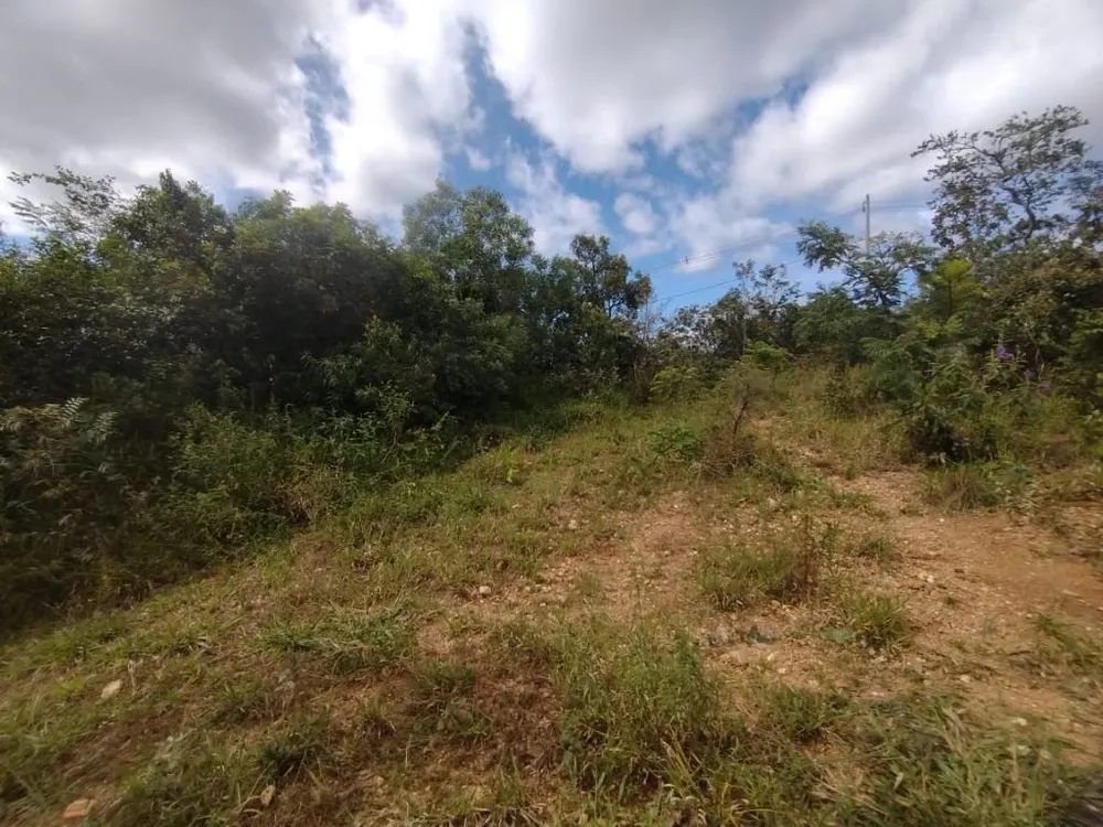Terreno - Foto 2
