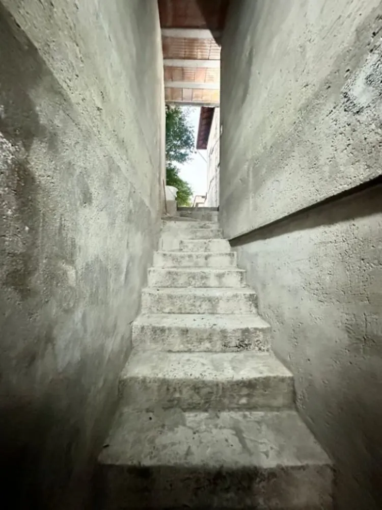 Casa, 5 quartos, 439 m² - Foto 4