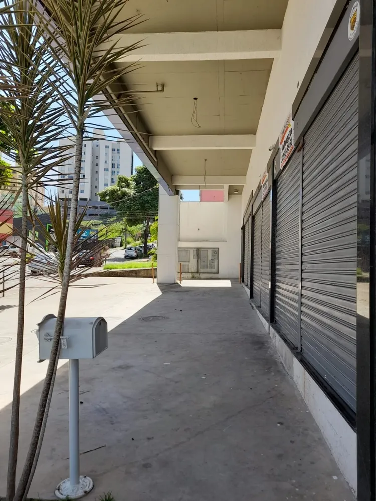 Loja-Salão, 224 m² - Foto 2