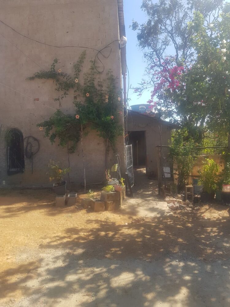 Sítio à venda com 1 quarto, 65m² - Foto 3